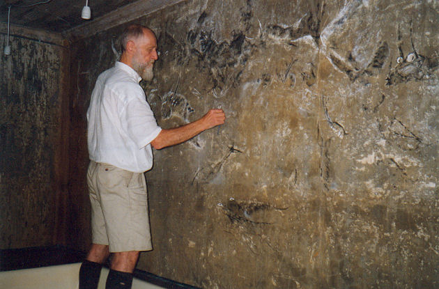 Pastel Opening Foto WB 1999