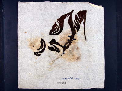Jacobus Kloppenburg - Artvocado Rune 1997-01-11 or 1997-11-01 (YMD)