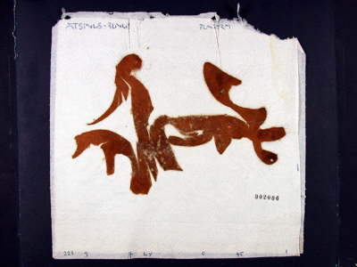 Jacobus Kloppenburg - Artvocado Rune 1997-03-22 (YMD)