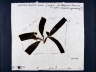 Jacobus Kloppenburg - Artvocado Rune 1998-11-07 (YMD)