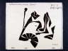 Jacobus Kloppenburg - Artvocado Rune 1999-06-18 (YMD)