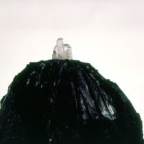 bio 1995 - 007(F 148)