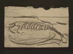 Tierra Del Fuego Carbon Drawing - 032